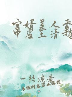 官婿美人香刘志中卢玉清赵嫣