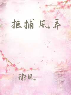 拒捕 风弄
