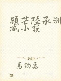 顾芒陆承洲未删减小说