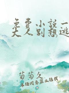 免费小说一老婆大人别想逃