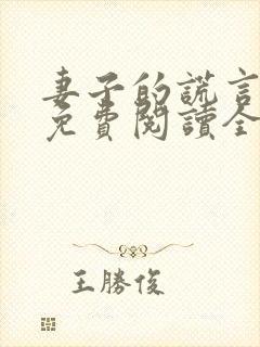 妻子的谎言小说免费阅读全文