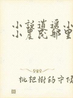 小说逍遥小农夫小农民那里可以看