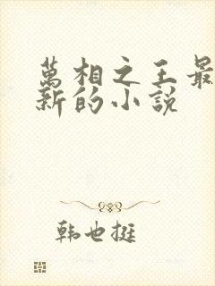 万相之王最快更新的小说
