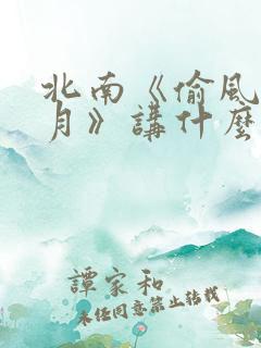 北南《偷风不偷月》讲什么