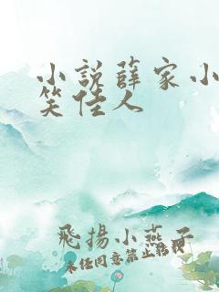 小说薛家小媳妇笑佳人
