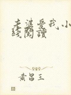 老婆爱我小说在线阅读