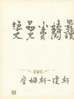 绝品小姨最新全文免费阅读