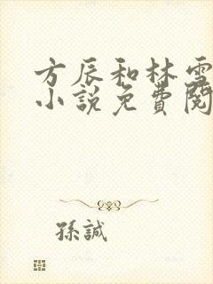 方辰和林雪妍的小说免费阅读无弹窗全文
