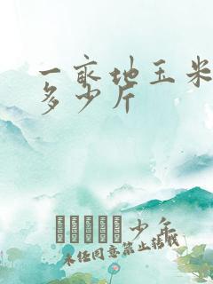 一亩地玉米产量多少斤