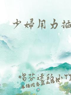 少妇用力插小说