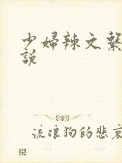 少妇辣文系列小说