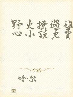 野火撩过姐姐的心小说免费阅读