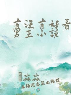 有没有好看的双男主小说
