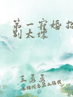 第一宠婚 总裁别太坏