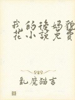 我的后妈貌美如花小说免费阅读