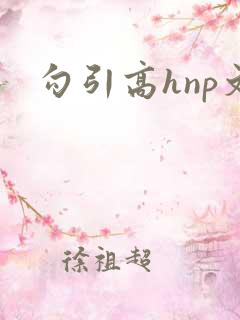 勾引高hnp文