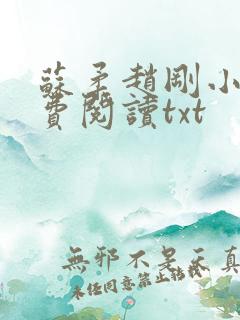 苏柔赵刚小说免费阅读txt