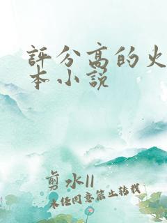 评分高的火影完本小说