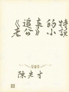 《追来的特种兵老公》小说