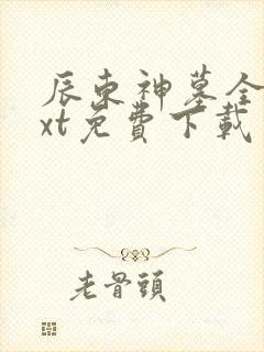 辰东神墓全本txt免费下载