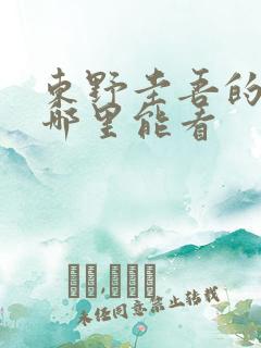 东野圭吾的秘密哪里能看