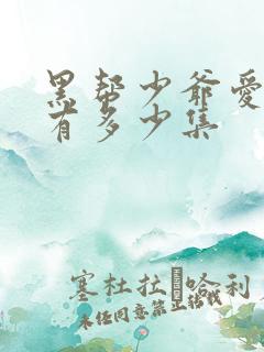 黑帮少爷爱上我有多少集