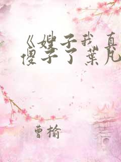 《嫂子我真不是傻子了叶凡》