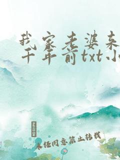 我家老婆来自一千年前txt小说