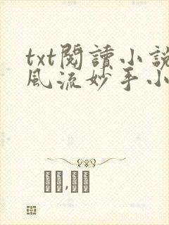 txt阅读小说风流妙手小村医
