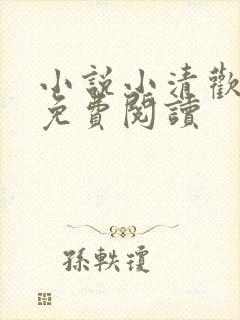 小说小清欢全文免费阅读