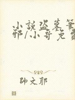 小说盗墓笔记吴邪/小哥免费全文阅读