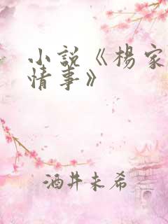 小说《杨家洼的情事》