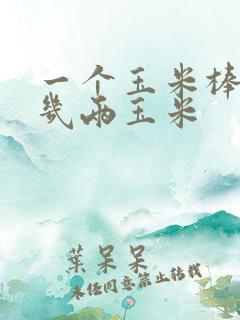 一个玉米棒子有几两玉米