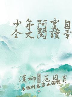 少年阿宾目录及全文阅读章节