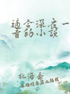 适合深夜一个人看的小说