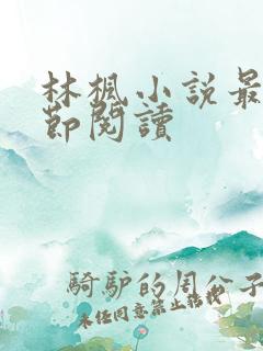 林枫小说最新章节阅读