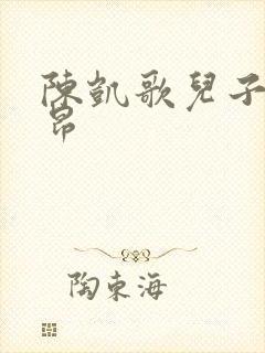 陈凯歌儿子陈雨昂