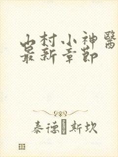 山村小神医陆凡最新章节