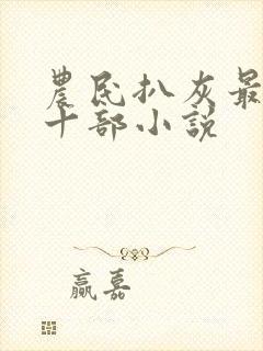 农民扒灰最经典十部小说