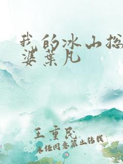 我的冰山总裁老婆叶凡