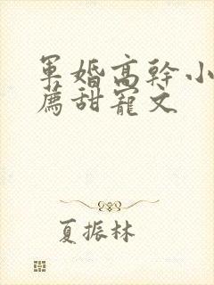 军婚高干小说推荐甜宠文