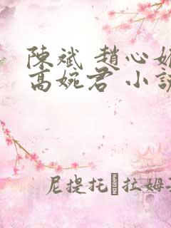 陈斌 赵心媚 高婉君 小说