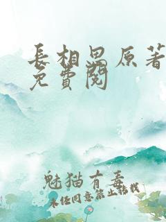长相思原著小说免费阅