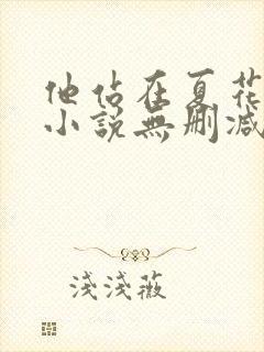 他站在夏花绚烂小说无删减正版在线阅读