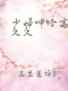 少妇呻吟高潮久久久