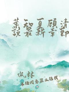 叶知夏顾清淮小说最新章节免费阅读