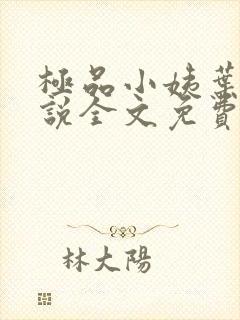极品小姨叶凡小说全文免费阅读
