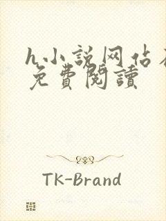 h小说网站在线免费阅读