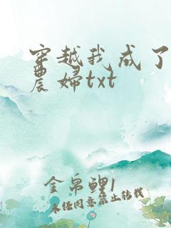 穿越我成了已婚农妇txt