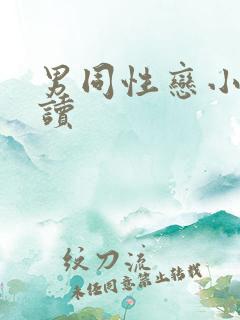 男同性恋小说阅读